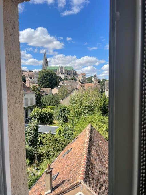 Duplex Bord De L'Eure - Parking Inclus - Jolie Vue Sur La Cathedrale Lejlighed Chartres Eksteriør billede