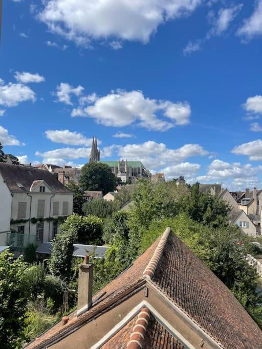 Duplex Bord De L'Eure - Parking Inclus - Jolie Vue Sur La Cathedrale Lejlighed Chartres Eksteriør billede